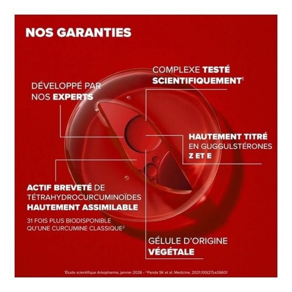 Arkostérol Expert - 30 gélules