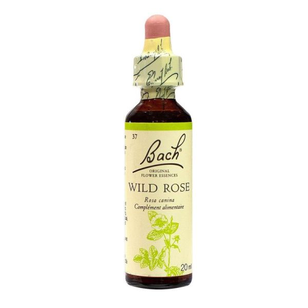 Bach Wild Rose 71737