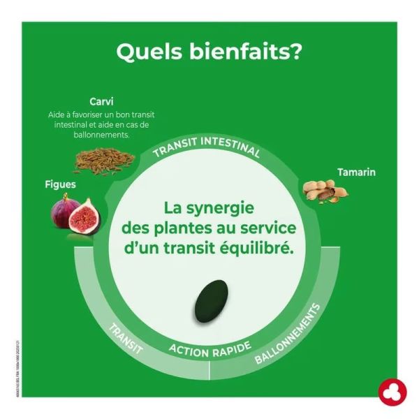 Fruits et Fibres Forte Transit Intestinal Comprimés - 12 comprimés
