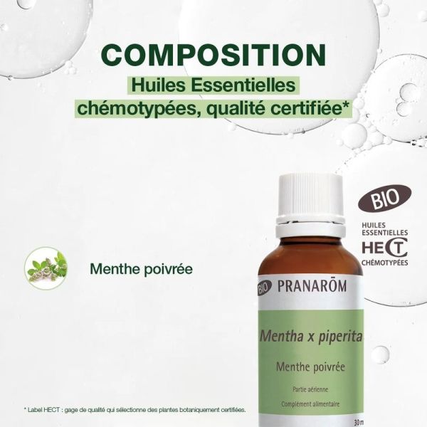 Huile Essentielle de Menthe poivrée - grand format - Bio - 30 ml