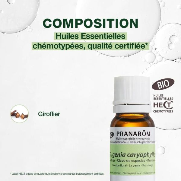Huile Essentielle de Giroflier - Bio - 10 ml