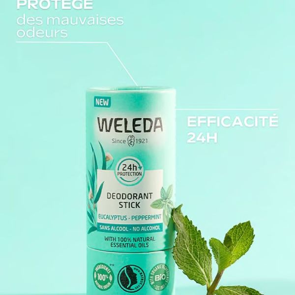 Déodorant solide 24H Eucalyptus Menthe poivrée - 50 g