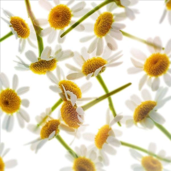 Lotion Tonique Apaisante – Lotion tonique apaisante peaux sèches – 400 ml