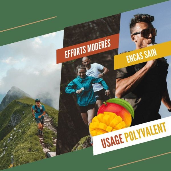 Energy Purees Mango - Passion - Ginger - 90 g
