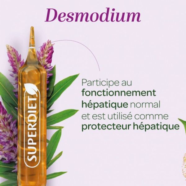 Desmodium - 20 ampoules de 15 ml