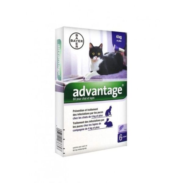 Advantage 80 Grand Chat/Lapin 0,4Ml 6
